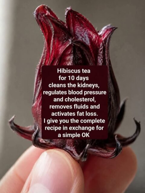 Hibiscus Tea
