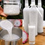 Fluffy Blueberry Bites